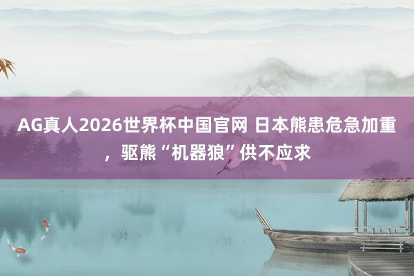 AG真人2026世界杯中国官网 日本熊患危急加重,驱熊“机器狼”供不应求
