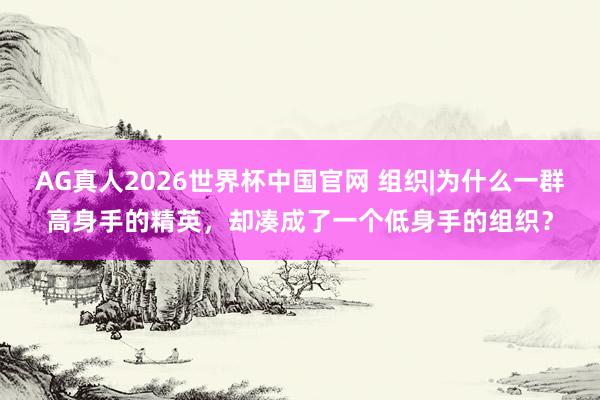 AG真人2026世界杯中国官网 组织|为什么一群高身手的精英,却凑成了一个低身手的组织?