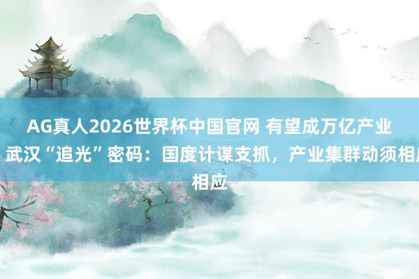 AG真人2026世界杯中国官网 有望成万亿产业!武汉“追光”密码:国度计谋支抓,产业集群动须相应