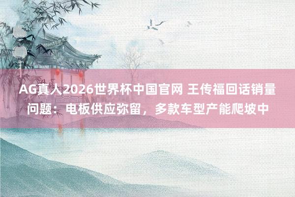 AG真人2026世界杯中国官网 王传福回话销量问题:电板供应弥留,多款车型产能爬坡中