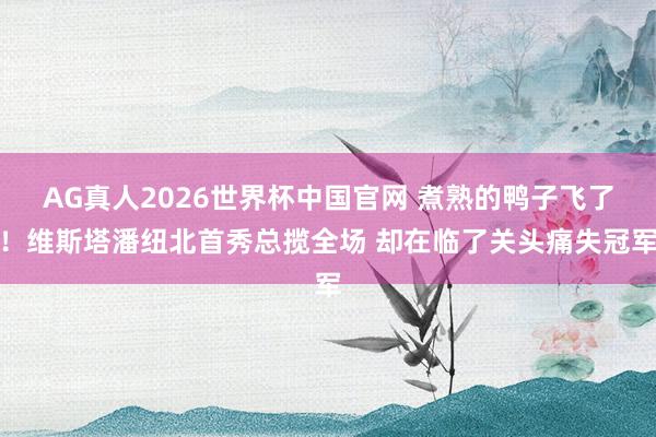 AG真人2026世界杯中国官网 煮熟的鸭子飞了！维斯塔潘纽北首秀总揽全场 却在临了关头痛失冠军