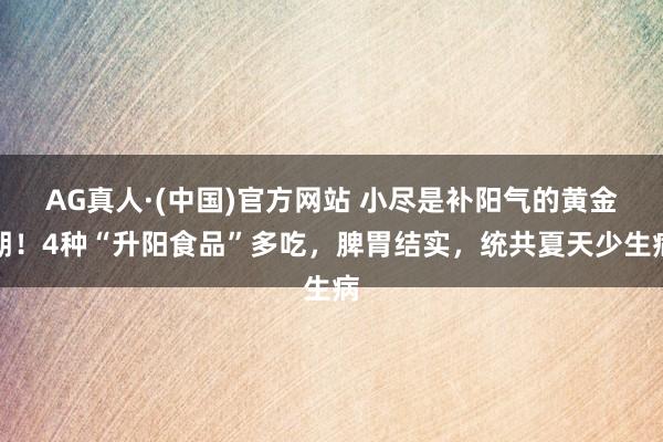 AG真人·(中国)官方网站 小尽是补阳气的黄金期!4种“升阳食品”多吃,脾胃结实,统共夏天少生病