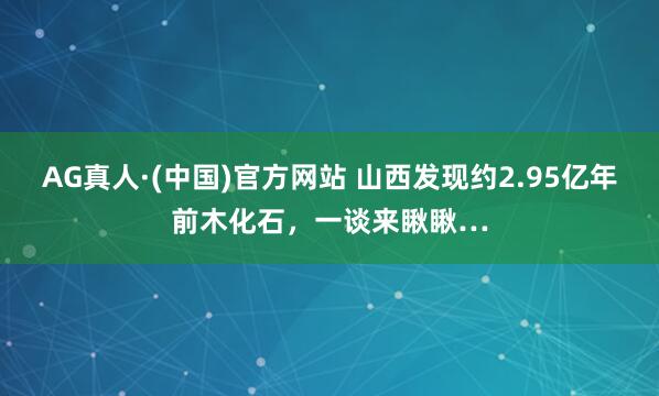 AG真人·(中国)官方网站 山西发现约2.95亿年前木化石,一谈来瞅瞅…