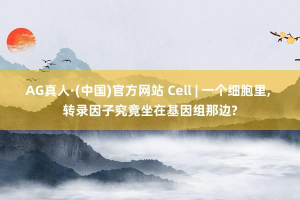 AG真人·(中国)官方网站 Cell | 一个细胞里, 转录因子究竟坐在基因组那边?
