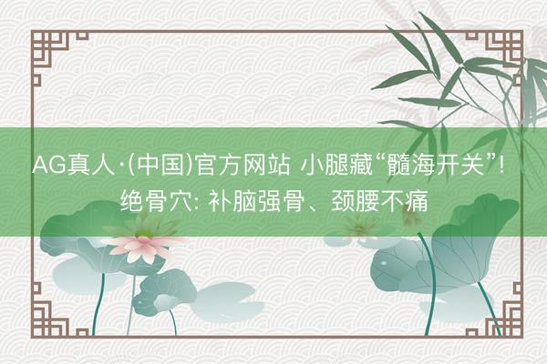 AG真人·(中国)官方网站 小腿藏“髓海开关”! 绝骨穴: 补脑强骨、颈腰不痛