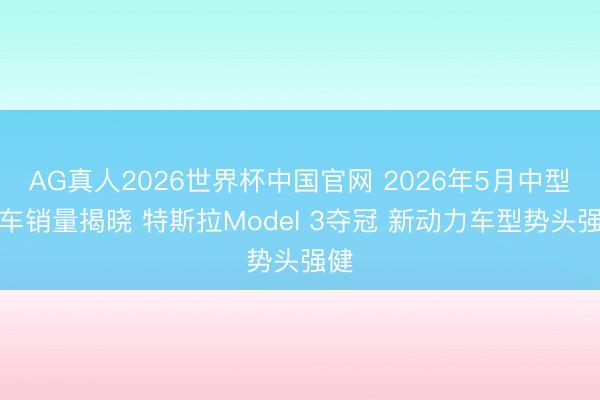 AG真人2026世界杯中国官网 2026年5月中型轿车销量揭晓 特斯拉Model 3夺冠 新动力车型势头强健