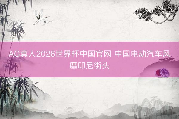 AG真人2026世界杯中国官网 中国电动汽车风靡印尼街头